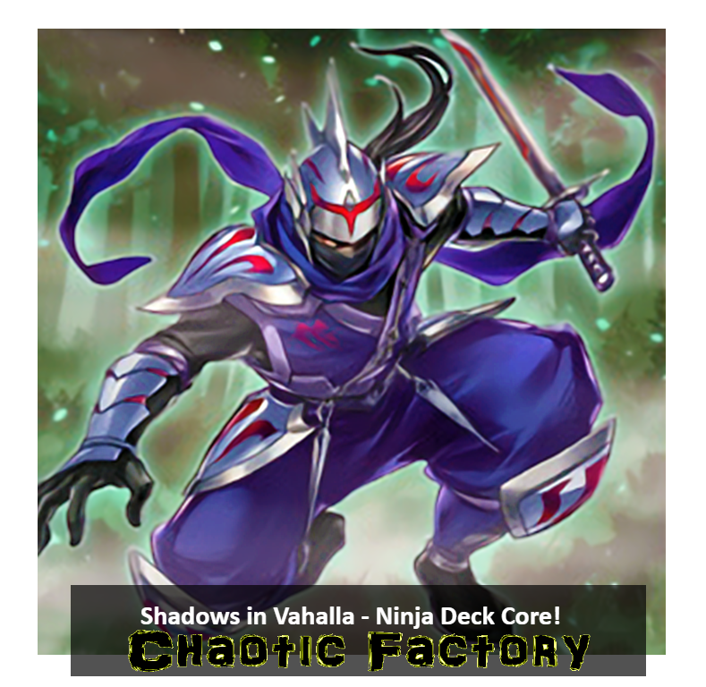 shva ninja deck core 43 cards ready to play