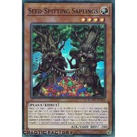 AGOV-EN022 Seed-Spitting Saplings Super Rare 1st Edition NM