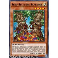 AGOV-EN022 Seed-Spitting Saplings Super Rare 1st Edition NM