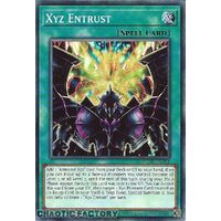 AGOV-EN051 Xyz Entrust Common 1st Edition NM