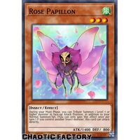 AGOV-EN093 Rose Papillon Common 1st Edition NM