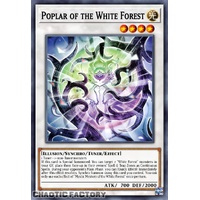 ALIN-EN041 Poplar of the White Forest Super Rare 1st Edition NM