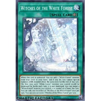 ALIN-EN058 Witches of the White Forest Ultra Rare 1st Edition NM