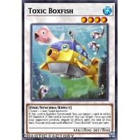 ALIN-EN085 Toxic Boxfish Super Rare 1st Edition NM