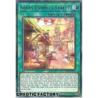 AMDE-EN019 Stray Purrely Street Rare 1st Edition NM