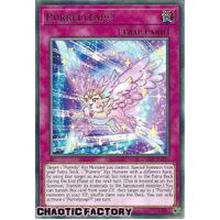 AMDE-EN024 Purrelyeap!? Rare 1st Edition NM