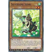 BACH-EN031 Silvervine Senri Common 1st Edition NM