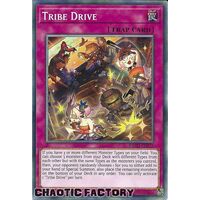 BACH-EN078 Tribe Drive Common 1st Edition NM