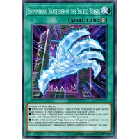 BETB-EN065 Sacred Beasts Skyfall Common 1st Edition NM