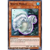 BLC1-EN051 White Moray Common 1st Edition NM