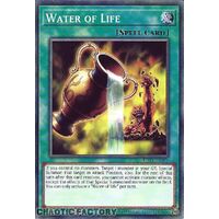 BLC1-EN077 Water of Life Common 1st Edition NM