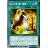BLC1-EN077 Water of Life Common 1st Edition NM