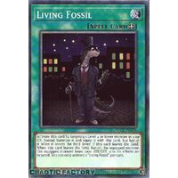 BLC1-EN104 Living Fossil Common 1st Edition NM