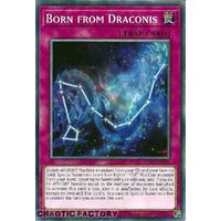 BLC1-EN106 Born from Draconis Common 1st Edition NM