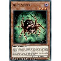 BLMR-EN045 Baby Spider Ultra Rare 1st Edition NM
