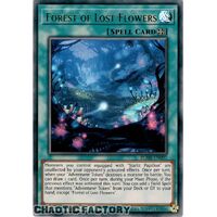 BLMR-EN097 Forest of Lost Flowers Ultra Rare 1st Edition NM