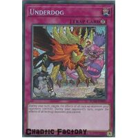 BLVO-EN092 Underdog Secret Rare 1st Edition NM