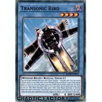 BODE-EN037 Transonic Bird Common 1st Edition NM
