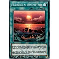 BODE-EN059 Floowandereeze and the Unexplored Winds Super Rare 1st Edition NM
