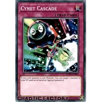 BODE-EN099 Cynet Cascade Common 1st Edition NM