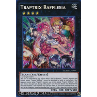 Traptrix Rafflesia - BOSH-EN099 - Secret Rare 1st Edition NM