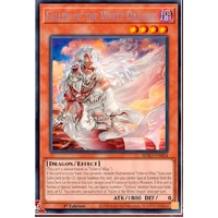 BPRO-EN024 Fallen of the White Dragon Secret Rare 1st Edition NM