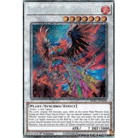 BPRO-EN040 Elfnote Seraphim Strelitzia Starlight Rare 1st Edition NM