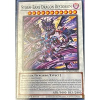BPRO-EN089  Storm-Bane Dragon Destorbim Common 1st Edition NM