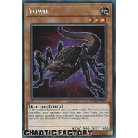 BROL-EN007 Yowie Secret Rare 1st Edition NM