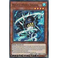 BROL-EN048 Right-Hand Shark Ultra Rare 1st Edition NM