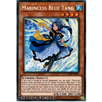 CHIM-EN004 Marincess Blue Tang Secret Rare 1st Edition NM