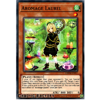 CHIM-EN017 Aromage Laurel Common 1st Edition NM