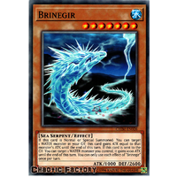 CHIM-EN026 Brinegir Common 1st Edition NM