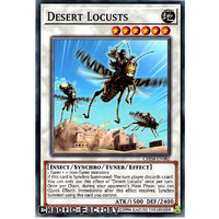 CHIM-EN082 Desert Locusts Common 1st Edition NM