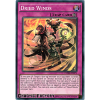 Dried Winds - CORE-EN075 - Super Rare 1st Edition NM