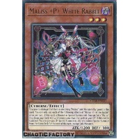 CRBR-EN015 Maliss P White Rabbit Ultra Rare 1st Edition NM