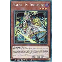 CRBR-EN017 Maliss P Dormouse Collector's Rare 1st Edition NM