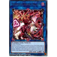 CRBR-EN049 Topologic Bomber Dragon Rare 1st Edition NM