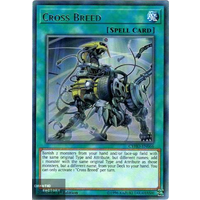 Yugioh - CYHO-EN066 - Cross Breed Rare 1st Edition NM