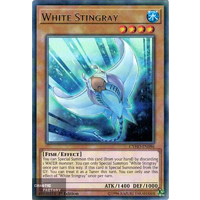 CYHO-EN096 - White Stingray Rare 1st Edition NM