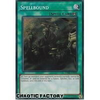 DABL-EN000 Spellbound Secret Rare 1st Edition NM