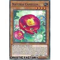 DABL-EN021 Naturia Camellia Common 1st Edition NM