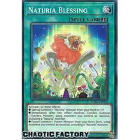 DABL-EN064 Naturia Blessing Common 1st Edition NM