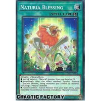 DABL-EN064 Naturia Blessing Common 1st Edition NM