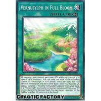 DABL-EN066 Vernusylph in Full Bloom Common 1st Edition NM