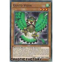 DAMA-EN019 Gusto Vedir Common 1st Edition NM
