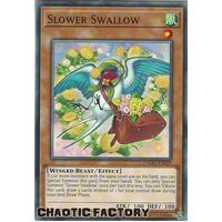 DAMA-EN029 Slower Swallow Common 1st Edition NM