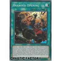 DAMA-EN054 Branded Opening Super Rare 1st Edition NM