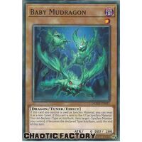 DAMA-EN081 Baby Mudragon Common 1st Edition NM