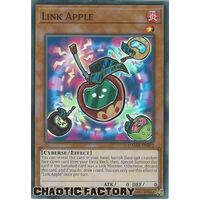 DAMA-EN092 Link Apple Super Rare 1st Edition NM